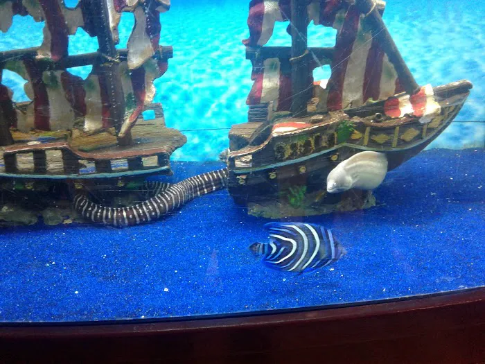 Congressional Aquarium Picture 9