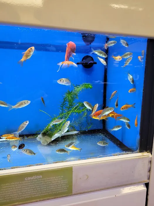 Petco Picture 6
