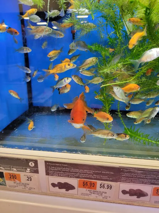 Petco Picture 9