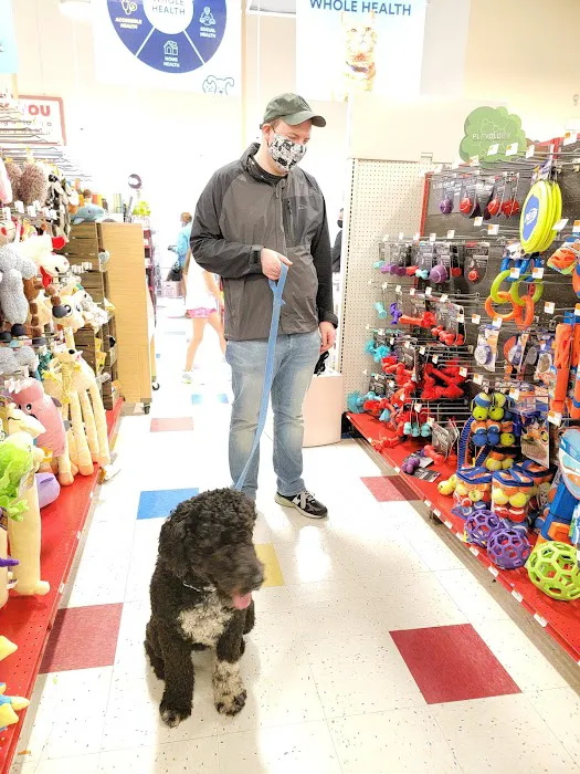 Petco Picture 4