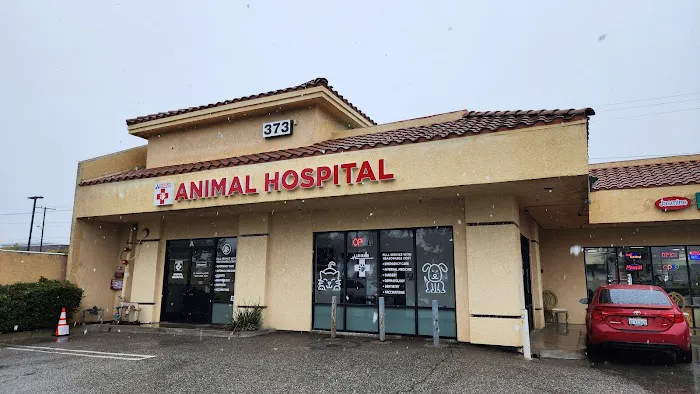 Los Olivos Animal Hospital Upland, Urgent care Picture 3