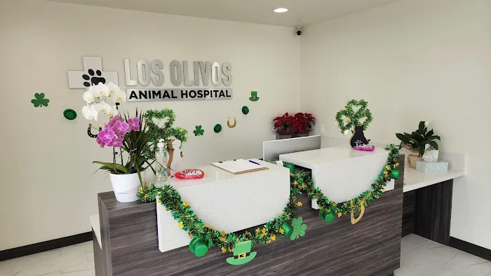 Los Olivos Animal Hospital Upland, Urgent care Picture 2