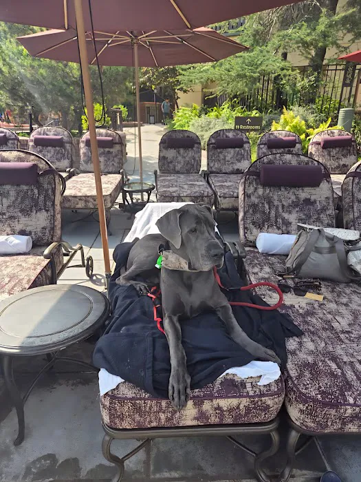 Los Olivos Animal Medical Center Upland, Urgent care Picture 3