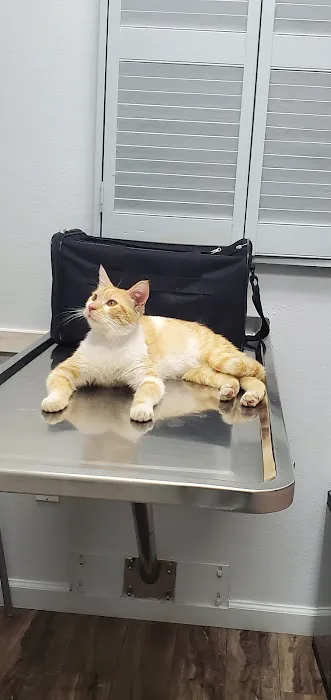 Inland Animal Hospital Picture 3