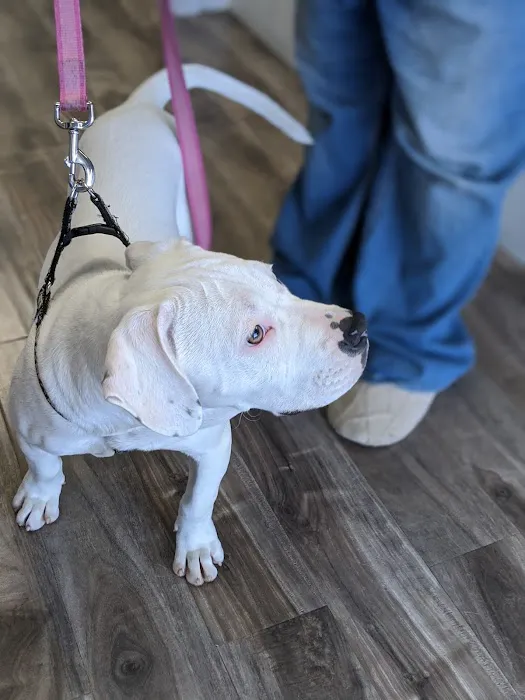 Inland Animal Hospital Picture 5