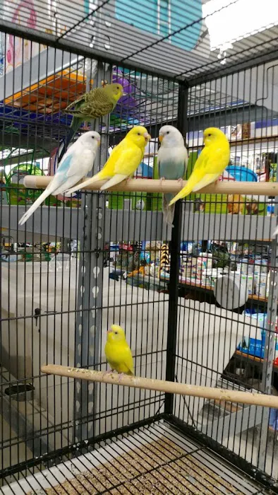 Eden Pets Supplies & Aquarium Picture 5