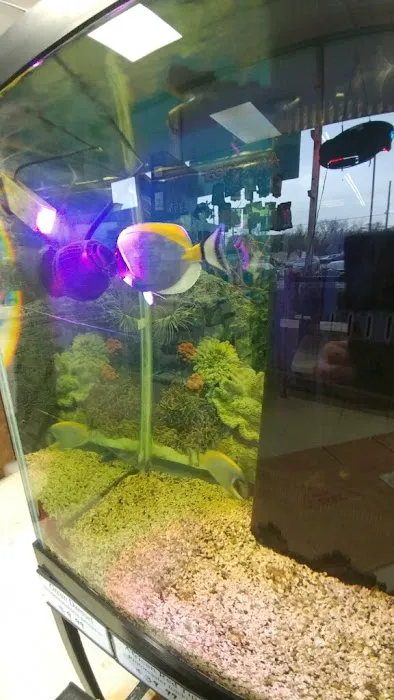 Eden Pets Supplies & Aquarium Picture 4