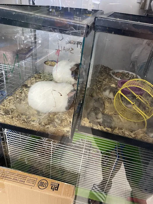 Eden Pets Supplies & Aquarium Picture 10