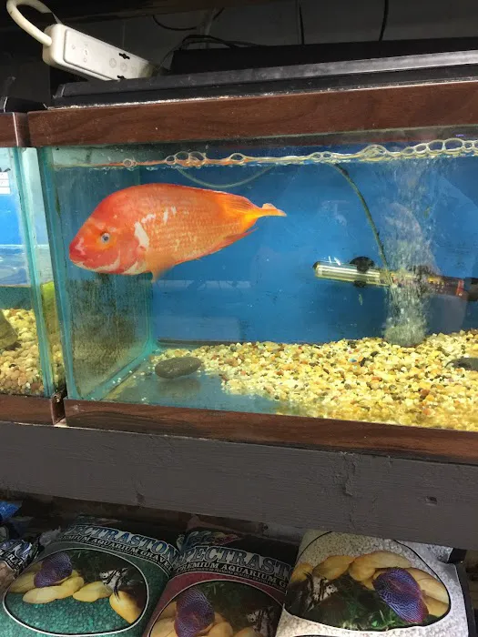 Eden Pets Supplies & Aquarium Picture 7