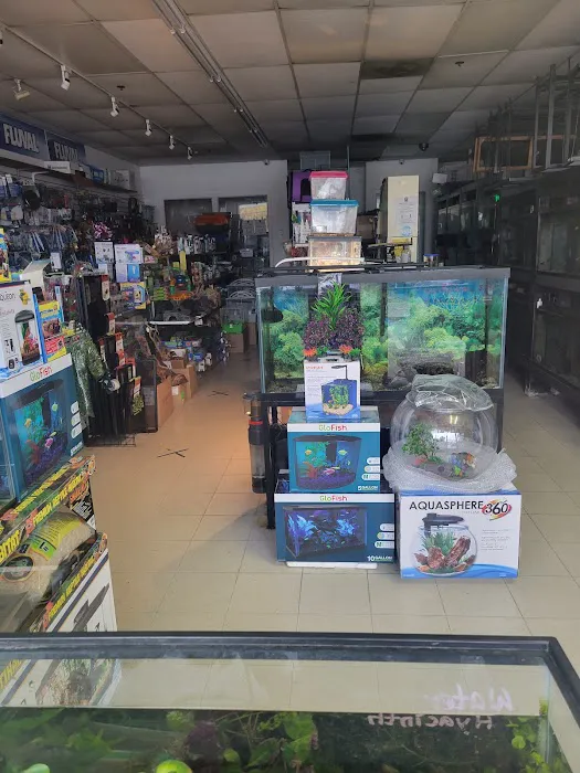 Eden Pets Supplies & Aquarium Picture 9