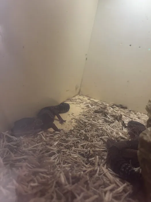 Eden Pets Supplies & Aquarium Picture 8
