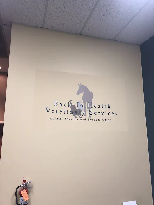 Back To Health Veterinary Services Picture 4