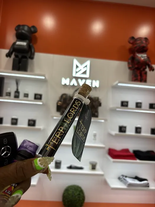 MAVEN Picture 6
