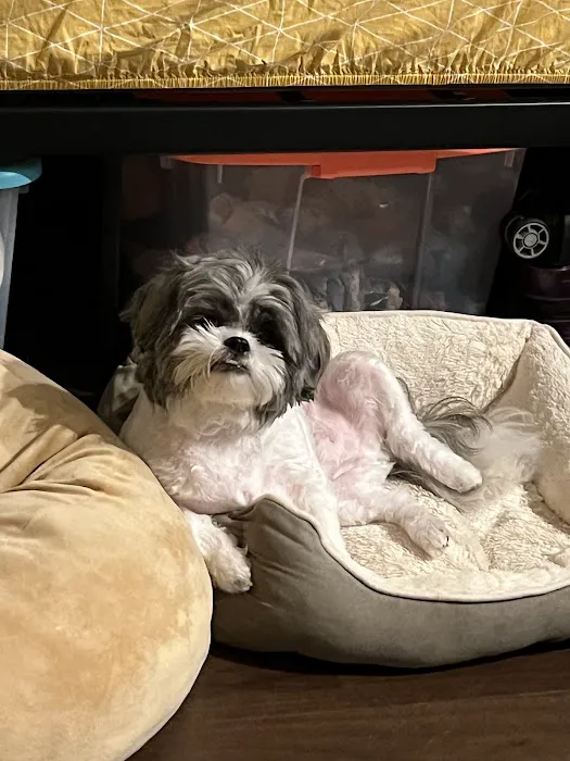 Petco Picture 2