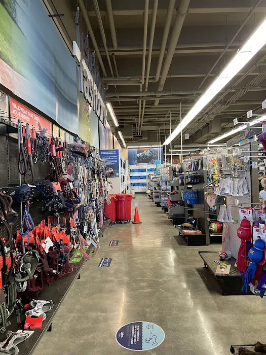Petco Picture 7