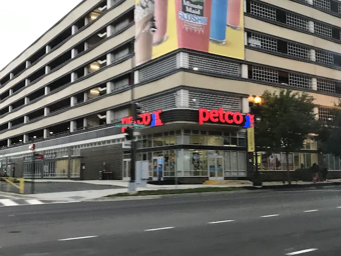 Petco Picture 3