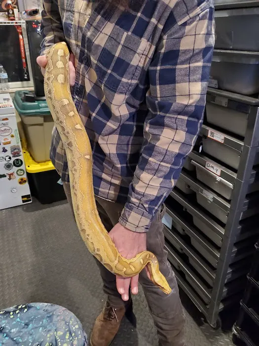 HJS Serpents LLC Picture 7