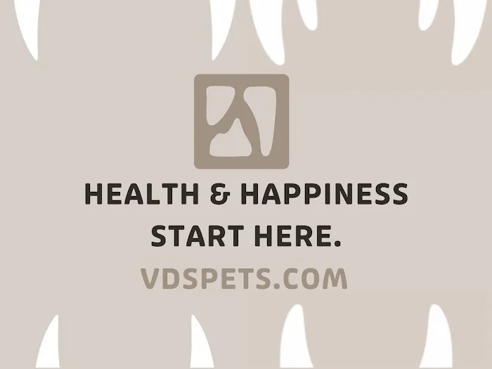Veterinary Dental Specialties and Oral Surgery Picture 2