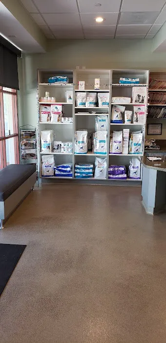 Animal Dermatology Clinic Picture 5