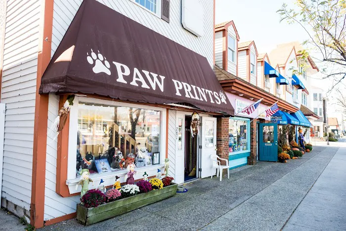 Paw Prints-Stone Harbor Picture 6