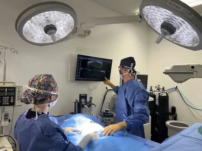 VCA California Veterinary Specialists-Ontario Picture 10