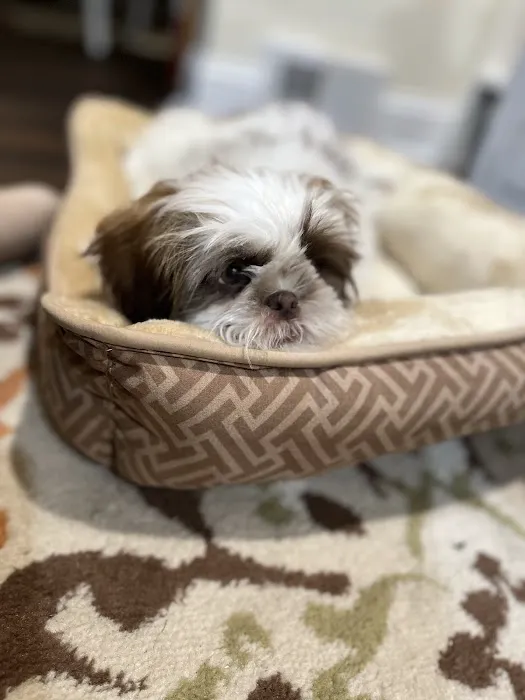 Furrylicious, LLC Picture 1