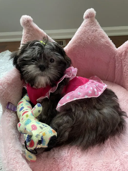Furrylicious, LLC Picture 9