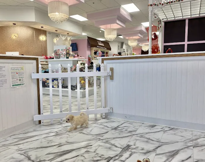 Furrylicious, LLC Picture 8