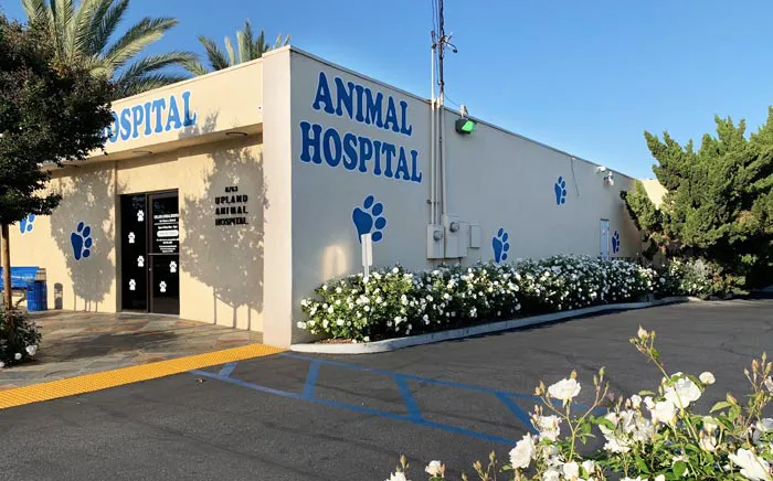 Upland Animal Hospital Picture 1