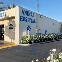 Upland Animal Hospital ico