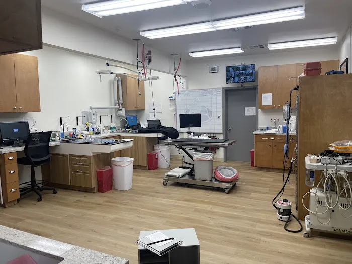 Upland Animal Hospital Picture 6