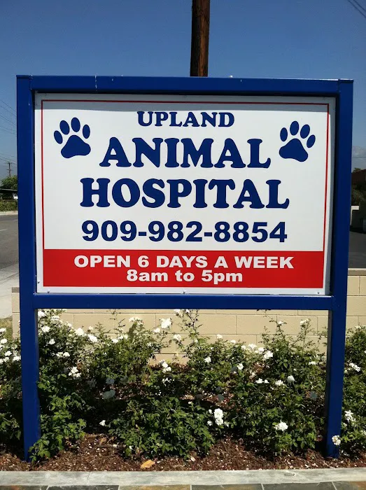 Upland Animal Hospital Picture 2