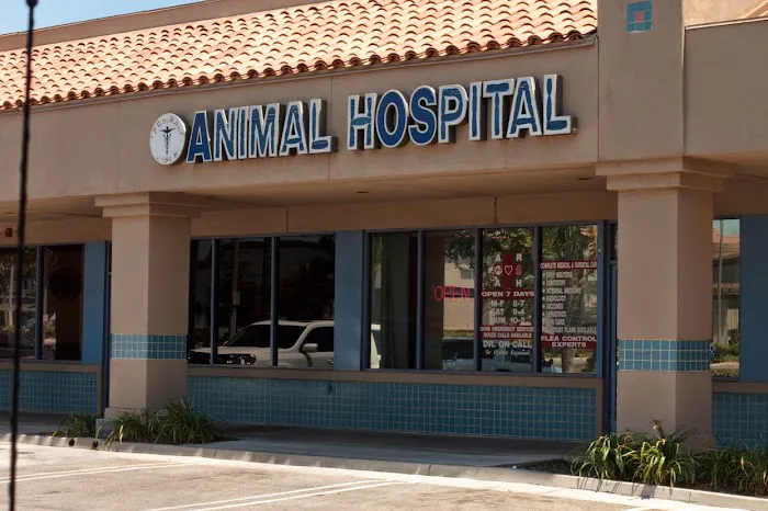 A R Animal Hospital Picture 3