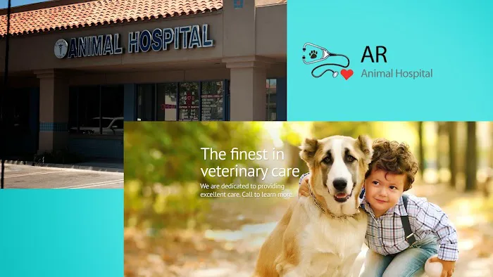 A R Animal Hospital Picture 5