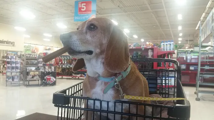 Petco Picture 4