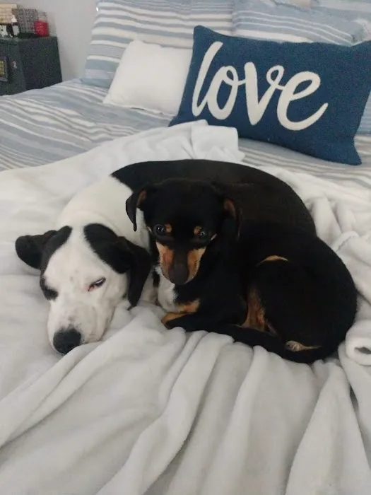 Petco Picture 2