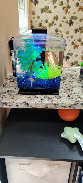 Petco Picture 10