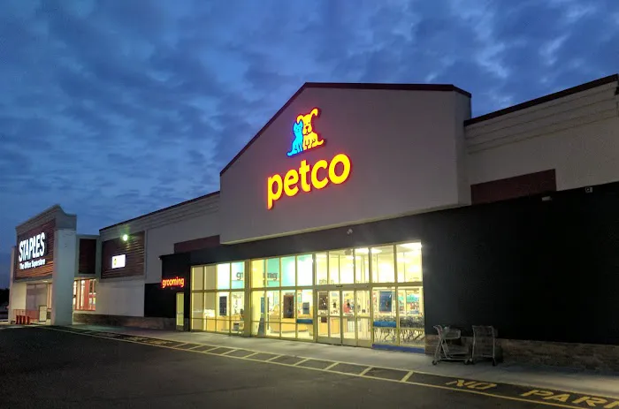 Petco Picture 8