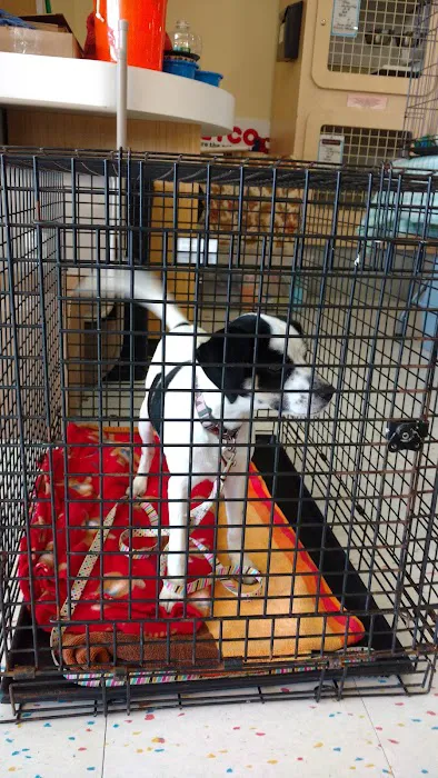 Petco Picture 1