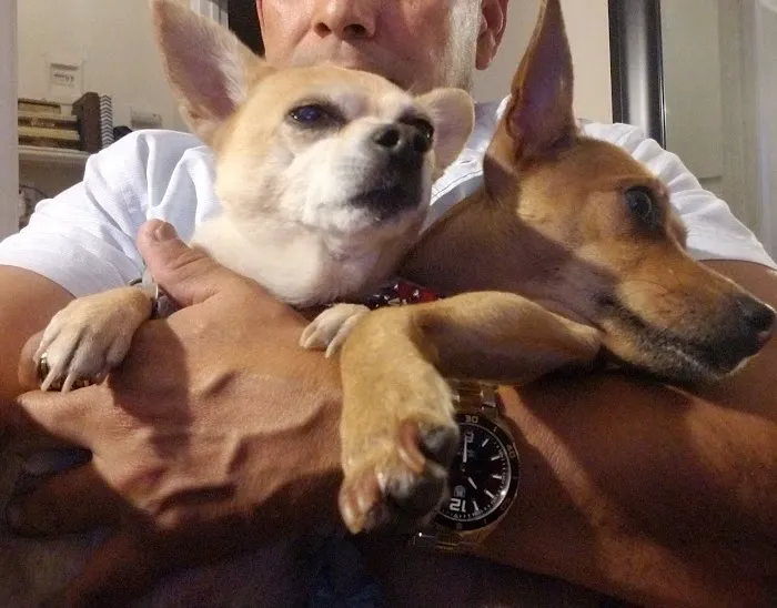 Angels' Care Animal Hospital Picture 4