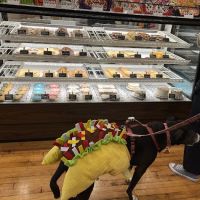 The Hungry Hound ico