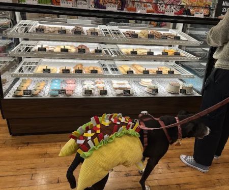 The Hungry Hound