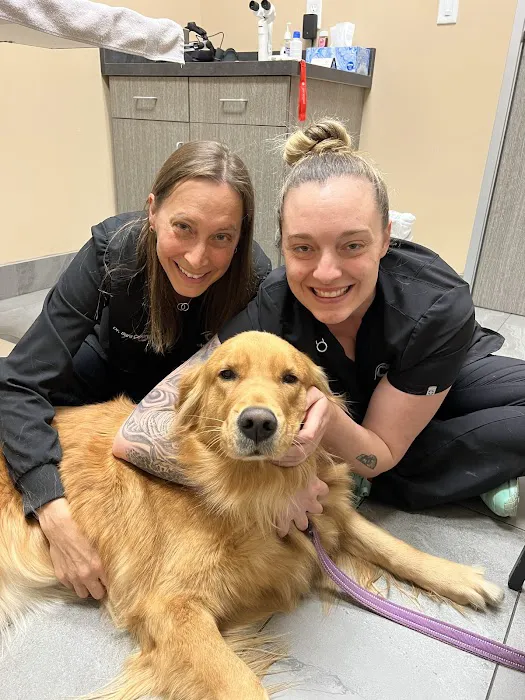 Veterinary Eye Institute Upland Picture 2