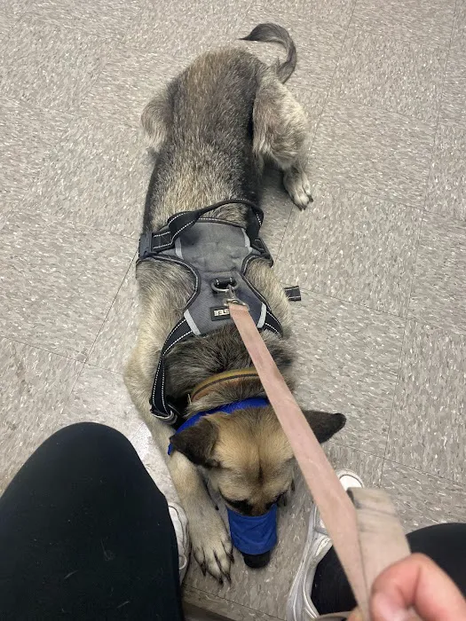 Pet Time Animal Hospital Picture 2