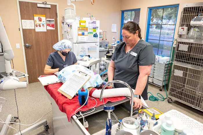Pet Time Animal Hospital Picture 6