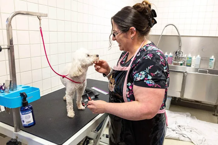 Pet Time Animal Hospital Picture 10