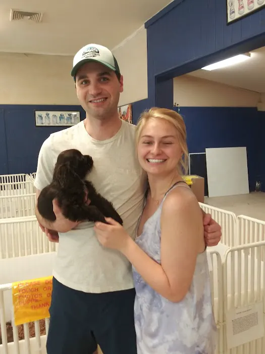 Puppy Palace Picture 6