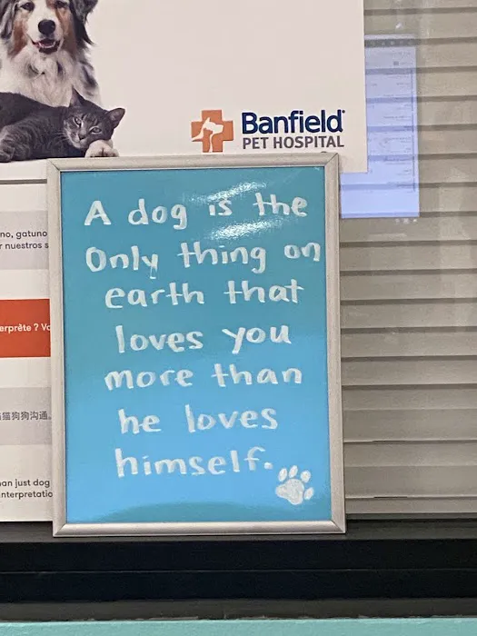 Banfield Pet Hospital Picture 1