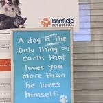 Banfield Pet Hospital