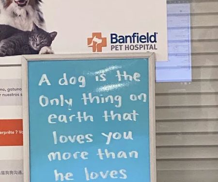 Banfield Pet Hospital